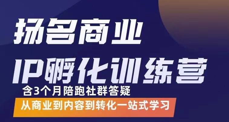 杨名商业IP孵化训练营，从商业到内容到转化一站式学 价值5980元-金创谷