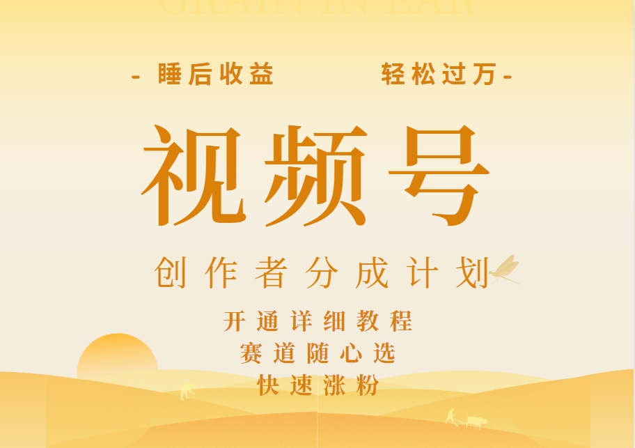 详解视频号创作者分成计划，暴力起号，可同步多平台，实现睡后收入2W+，看懂即可操作！-金创谷