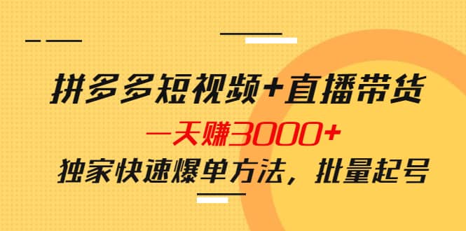 拼多多短视频+直播带货，一天赚3000+独家快速爆单方法，批量起号-金创谷