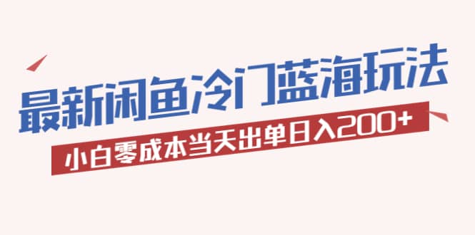2023最新闲鱼冷门蓝海玩法，小白零成本当天出单日入200+-金创谷
