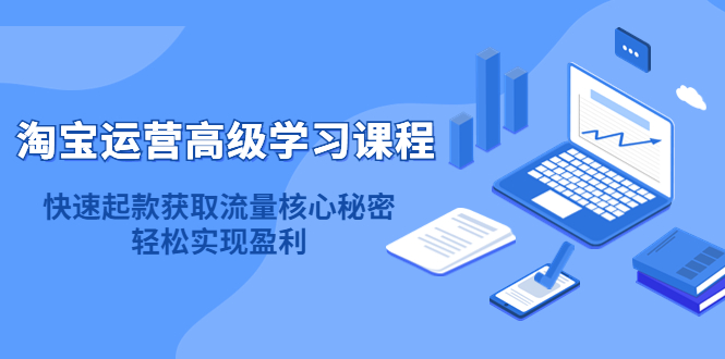 淘宝运营高级学习课程：快速获取流量核心秘密，轻松实现盈利！-金创谷