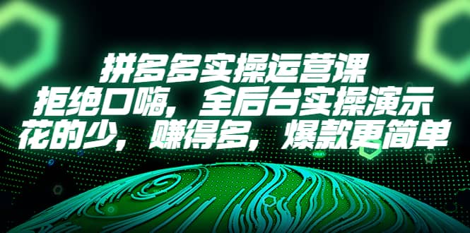 拼多多实操运营课：拒绝口嗨，全后台实操演示，花的少，赚得多，爆款更简单-金创谷