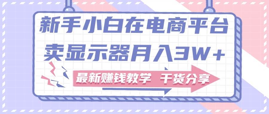 新手小白如何做到在电商平台卖显示器月入3W+，最新赚钱教学干货分享-金创谷