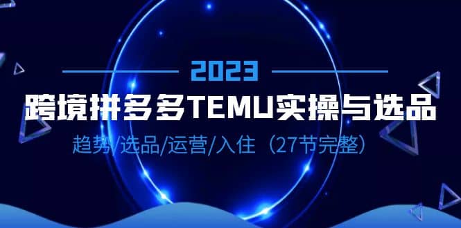 2023跨境·拼多多·TEMU实操与选品，趋势·选品·运营·入住（27节完整）-金创谷