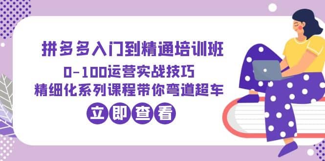 2023拼多多入门到精通培训班：0-100运营实战技巧 精细化系列课带你弯道超车-金创谷