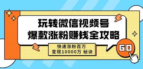 玩转微信视频号爆款涨粉赚钱全攻略，快速涨粉百万变现万元秘诀-金创谷