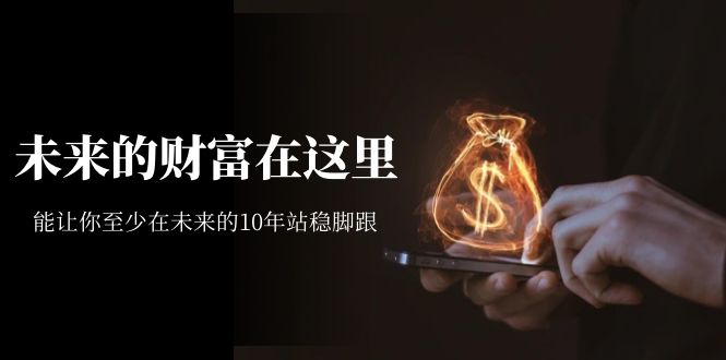 某收费文章《未来的财富在这里》能让你至少在未来的10年站稳脚跟-金创谷