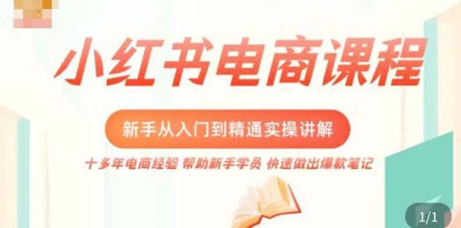 小红书电商新手入门到精通实操课，从入门到精通做爆款笔记，开店运营-金创谷