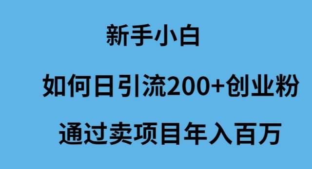 新手小白如何日引流200+创业粉通过卖项目年入百万-金创谷