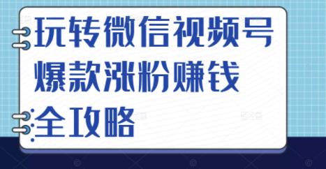 玩转微信视频号爆款涨粉赚钱全攻略，让你快速抓住流量风口，收获红利财富-金创谷