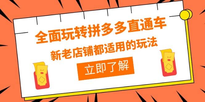 全面玩转拼多多直通车，新老店铺都适用的玩法（12节精华课）-金创谷