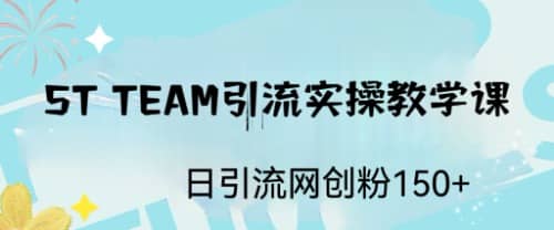 ST TEAM引流实操课，日引流网创粉100+-金创谷