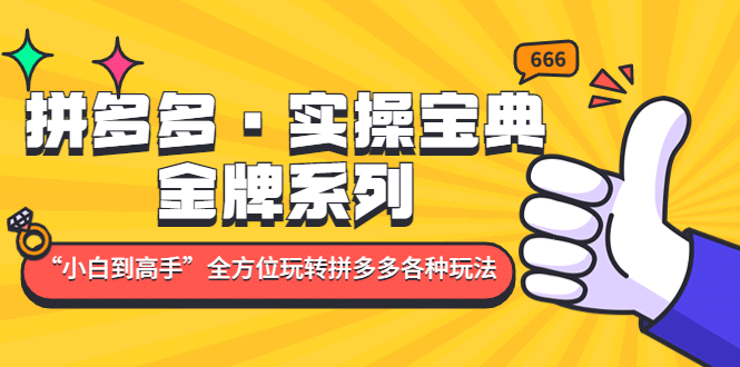 拼多多·实操宝典：金牌系列“小白到高手”带你全方位玩转拼多多各种玩法-金创谷