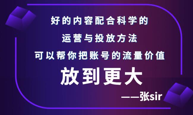 张sir账号流量增长课，告别海王流量，让你的流量更精准-金创谷