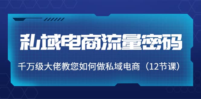 私域电商流量密码：千万级大佬教您如何做私域电商（12节课）-金创谷