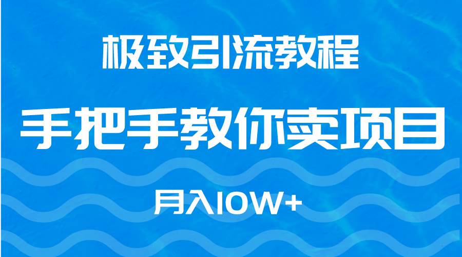 极致引流教程，手把手教你卖项目，月入10W+-金创谷