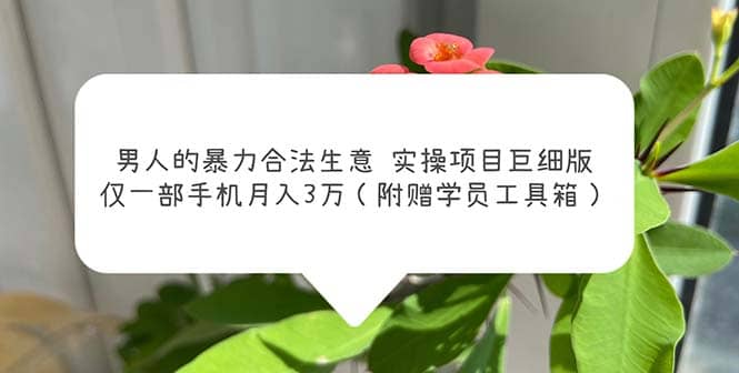 男人的暴力合法生意实操项目巨细版：仅一部手机月入3w（附赠学员工具箱）-金创谷