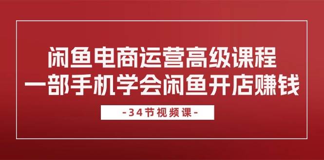 闲鱼电商运营高级课程，一部手机学会闲鱼开店赚钱（34节课）-金创谷