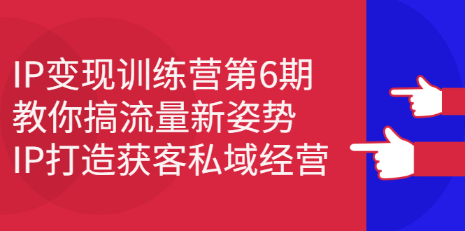 IP变现训练营第6期：教你搞流量新姿势，IP打造获客私域经营-金创谷