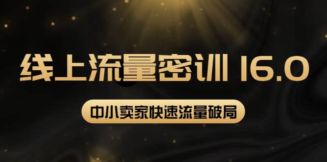 2022秋秋线上流量密训16.0：包含 暴力引流10W+中小卖家流量破局技巧 等等！-金创谷