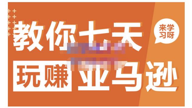 晟尧跨境·教你七天玩赚亚马逊，教你轻松玩赚亚马逊，适合小白学习-金创谷