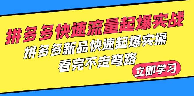 拼多多-快速流量起爆实战，拼多多新品快速起爆实操，看完不走弯路-金创谷