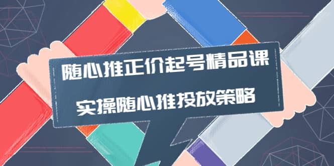 随心推正价起号精品课，实操随心推投放策略（5节课-价值298）-金创谷