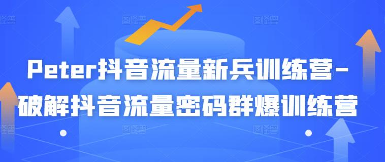 Peter抖音流量新兵训练营-破解抖音流量密码群爆训练营（新兵）-金创谷