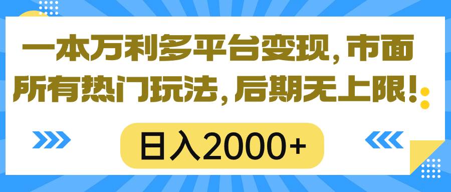 一本万利多平台变现，市面所有热门玩法，日入2000+，后期无上限！-金创谷