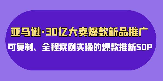 亚马逊30亿·大卖爆款新品推广，可复制、全程案例实操的爆款推新SOP-金创谷