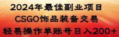 2024年最佳副业项目 CSGO饰品装备交易 轻易操作单账号日入200+-金创谷