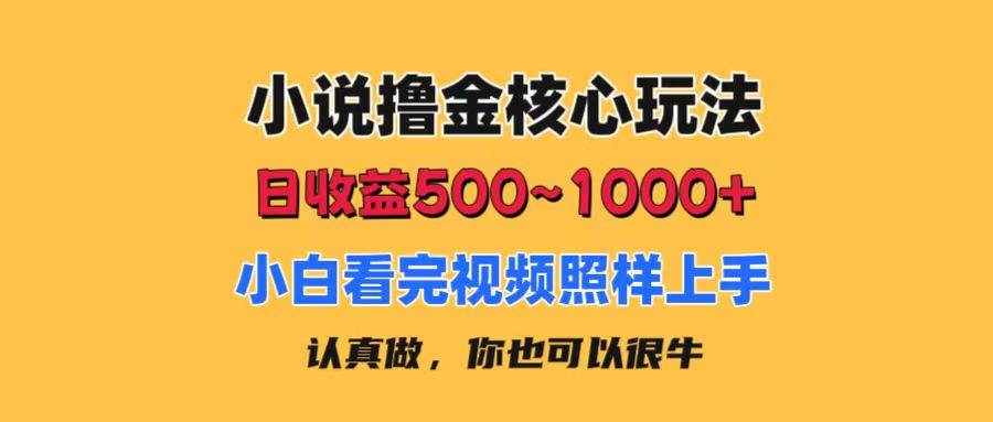 小说撸金核心玩法，日收益500-1000+，小白看完照样上手，0成本有手就行-金创谷