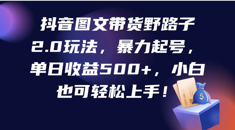 抖音图文带货野路子2.0玩法，暴力起号，单日收益500+，小白也可轻松上手！-金创谷