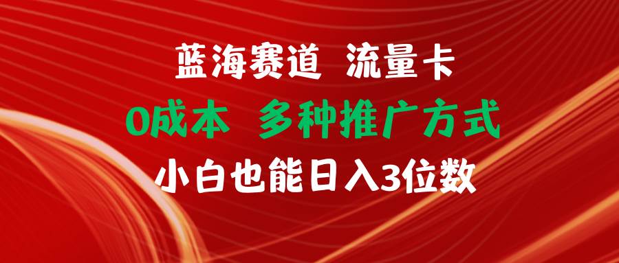 蓝海赛道 流量卡 0成本 小白也能日入三位数-金创谷