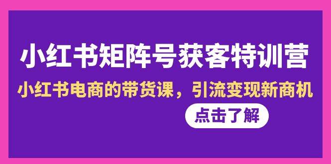 小红书-矩阵号获客特训营-第10期，小红书电商的带货课，引流变现新商机-金创谷