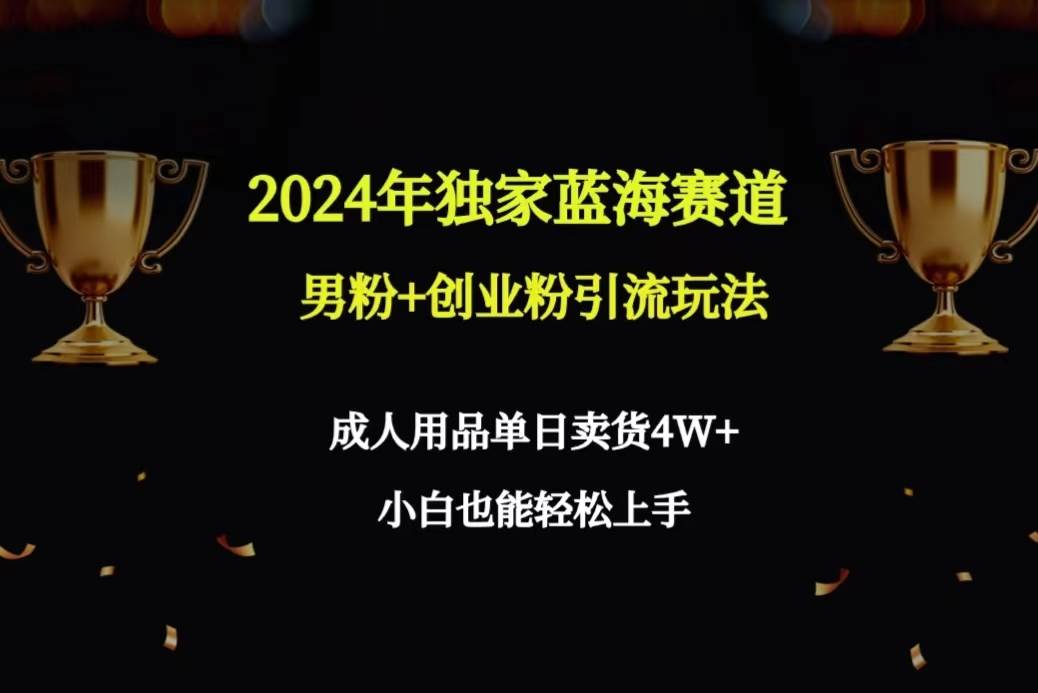2024年独家蓝海赛道男粉+创业粉引流玩法，成人用品单日卖货4W+保姆教程-金创谷