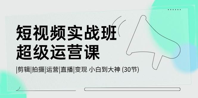 短视频实战班-超级运营课，|剪辑|拍摄|运营|直播|变现 小白到大神 (30节)-金创谷