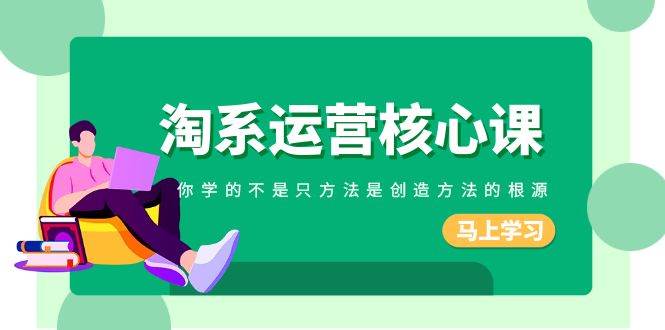 淘系-运营核心课，你学的不是只方法是创造方法的根源（190节课）-金创谷