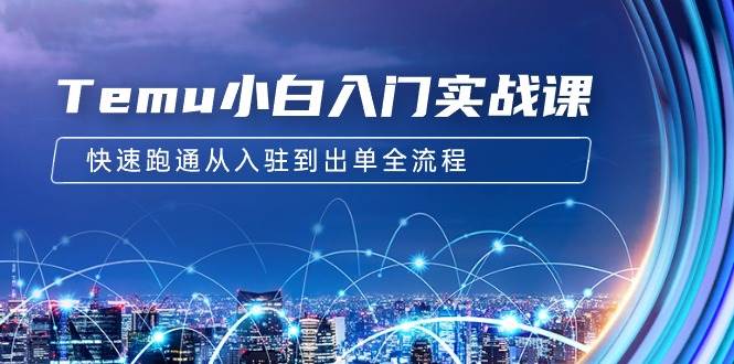 Temu小白入门实战课：跨境拼多多电商培训 快速跑通从入驻到出单全流程-12节-金创谷