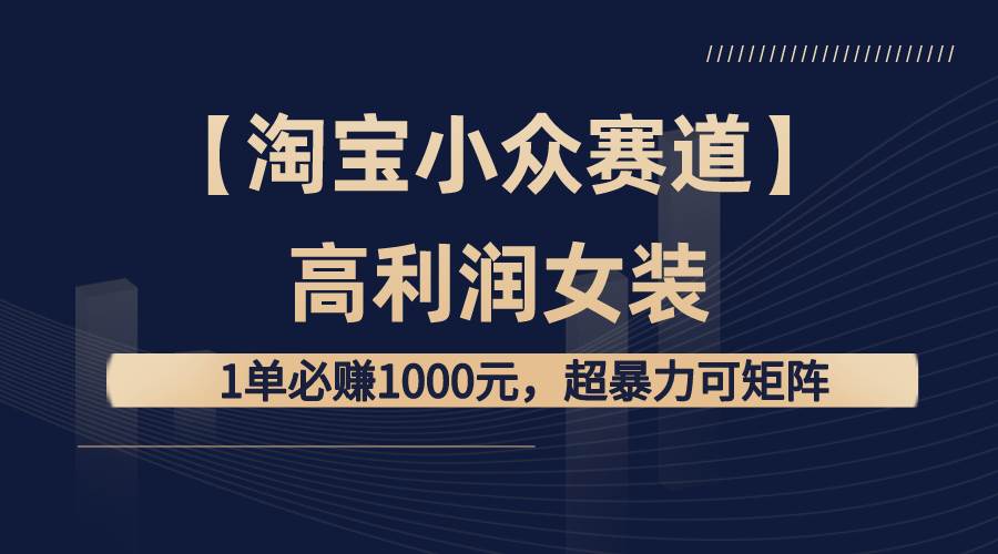 【淘宝小众赛道】高利润女装：1单必赚1000元，超暴力可矩阵-金创谷