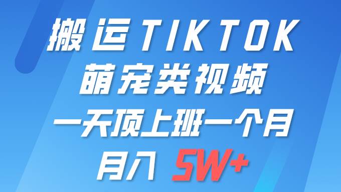 一键搬运TIKTOK萌宠类视频 一部手机即可操作 所有平台均可发布 轻松月入5W+-金创谷