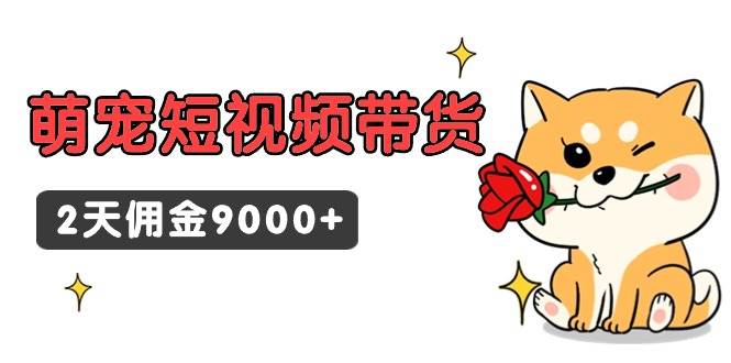 东哲日记·萌宠短视频带货，2天佣金9000+-金创谷