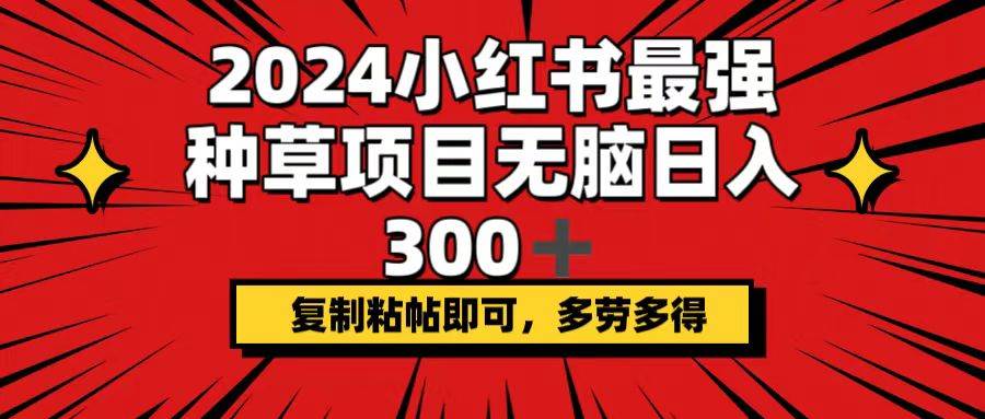 2024小红书最强种草项目，无脑日入300+，复制粘帖即可，多劳多得-金创谷
