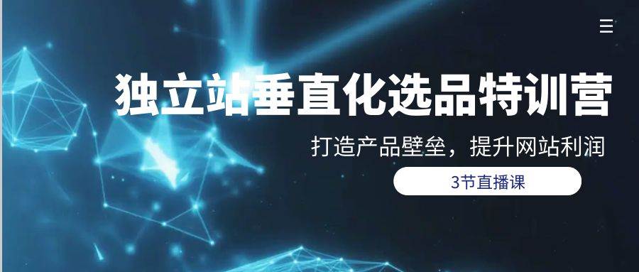 独立站-垂直化选品训练营，打造产品壁垒，提升网站利润（3节直播课）-金创谷
