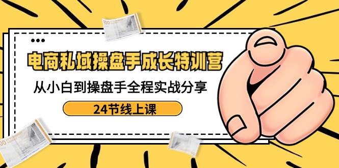 电商私域-操盘手成长特训营：从小白到操盘手全程实战分享-24节线上课-金创谷