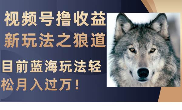 视频号撸收益新玩法之狼道，目前蓝海玩法轻松月入过万！-金创谷