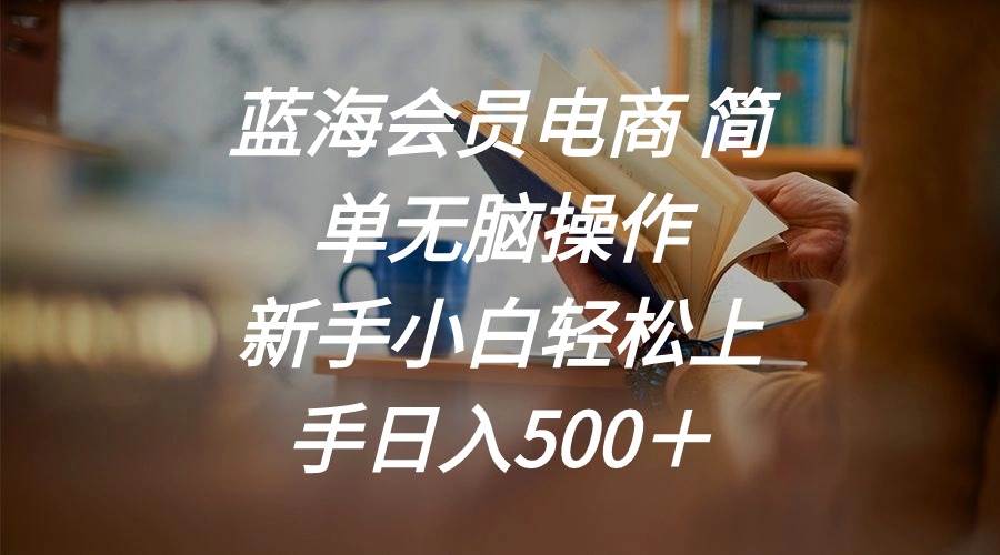 蓝海会员电商 简单无脑操作 新手小白轻松上手日入500＋-金创谷