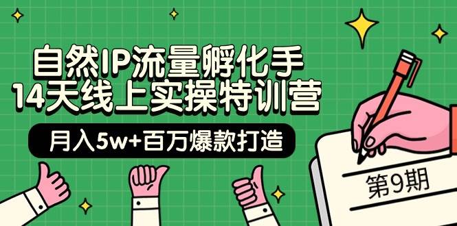 自然IP流量孵化手 14天线上实操特训营【第9期】月入5w+百万爆款打造 (74节)-金创谷