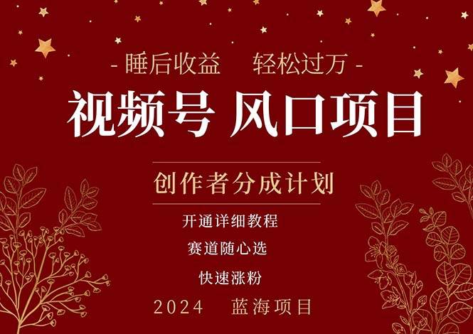 拥有睡眠收益的微信视频号大风口项目，轻松月入过万+，多赛道选择，可…-金创谷