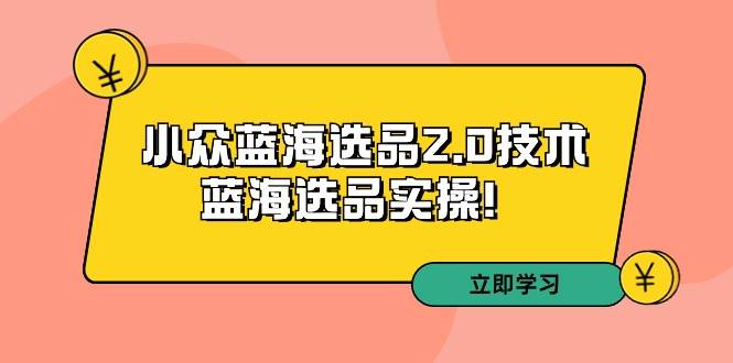 拼多多培训第33期：小众蓝海选品2.0技术-蓝海选品实操！-金创谷